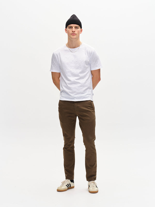 GABBA Paul Dale Chino - Crocodile