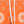 MOVE - Boxer Saint Vincent Printed ORANGE BANDANA