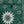 MOVE - Boxer Saint Vincent Printed GREEN BANDANA