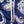 MOVE - Saint Vincent Printed Boxer PRINT K1