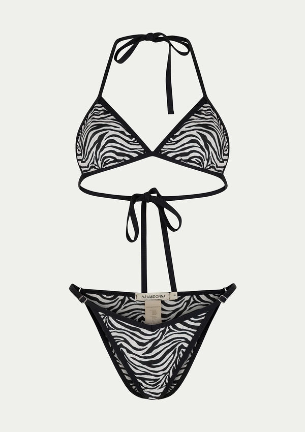 LILIA ZEBRA