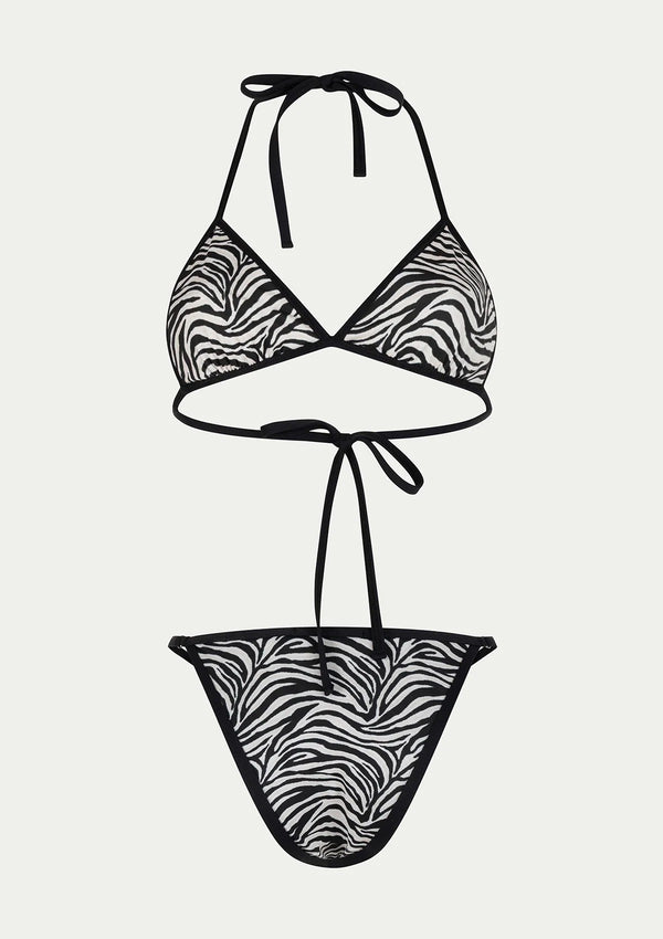 LILIA ZEBRA
