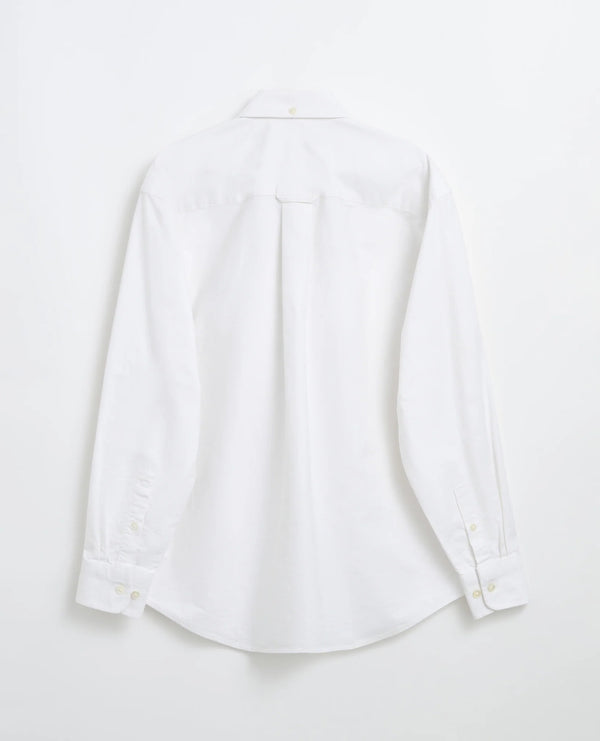 SUNFLOWER BUTTON DOWN OXFORD - הזמנה מוקדמת
